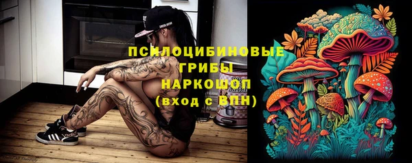 героин Алексин