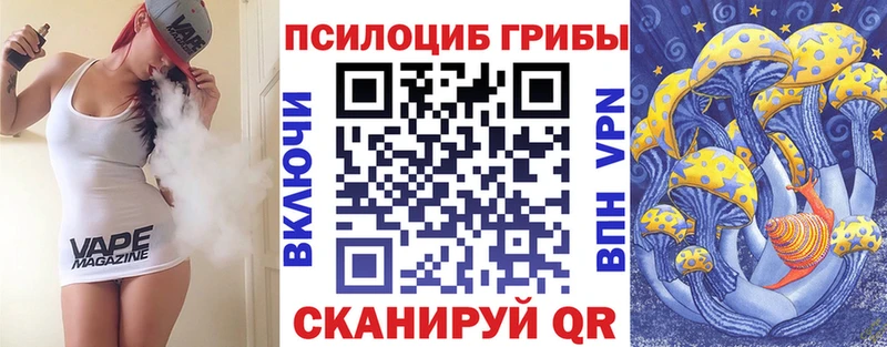 Псилоцибиновые грибы Cubensis Новотроицк