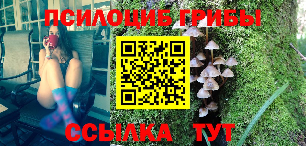 Псилоцибиновые грибы GOLDEN TEACHER Новотроицк