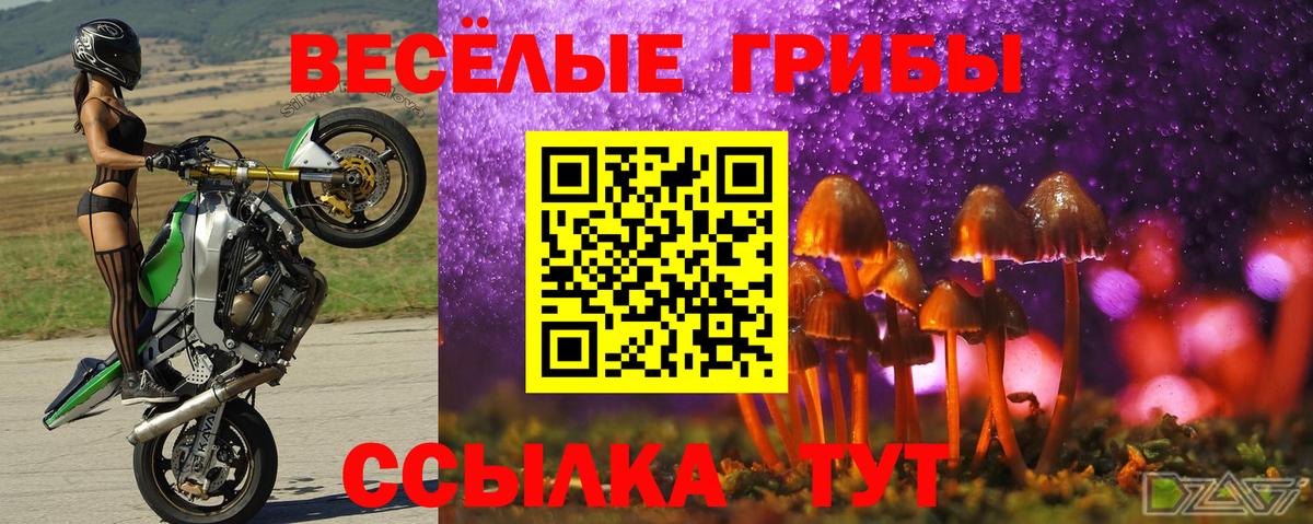 Новотроицк  Галлюциногенные грибы мухоморы  Галлюциногенные грибы MAGIC MUSHROOMS  Вход с VPN 
