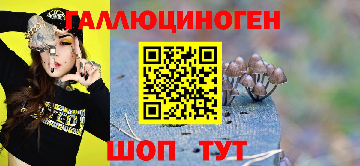 Новотроицк  Галлюциногенные грибы Psilocybe  хочу   Галлюциногенные грибы мицелий  Вход с VPN 